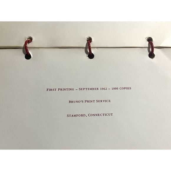 Vtg Women Of St. Francis Parish Local Cookbook Church Spiral Retro Kitchen 1964 - Picture 7 of 7